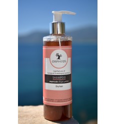 Organic shampoo for dry hair